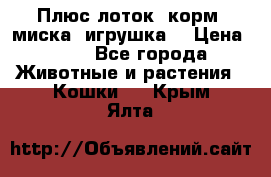 Плюс лоток, корм, миска, игрушка. › Цена ­ 50 - Все города Животные и растения » Кошки   . Крым,Ялта